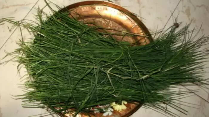 गणेश चतुर्थी पर दूर्वा चढ़ाने का महत्व और लाभ