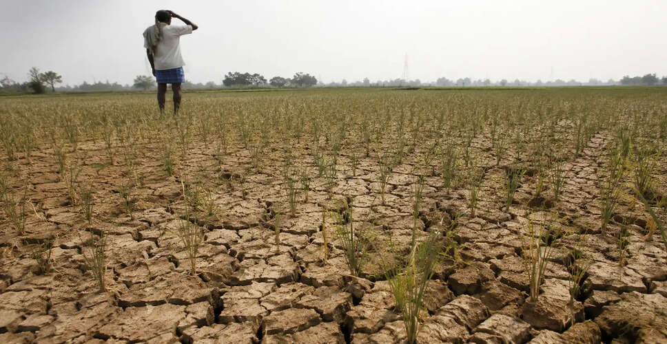 आरबीआई की वार्षिक रिपोर्ट में एल नीनो के संभावित खतरों का जिक्र