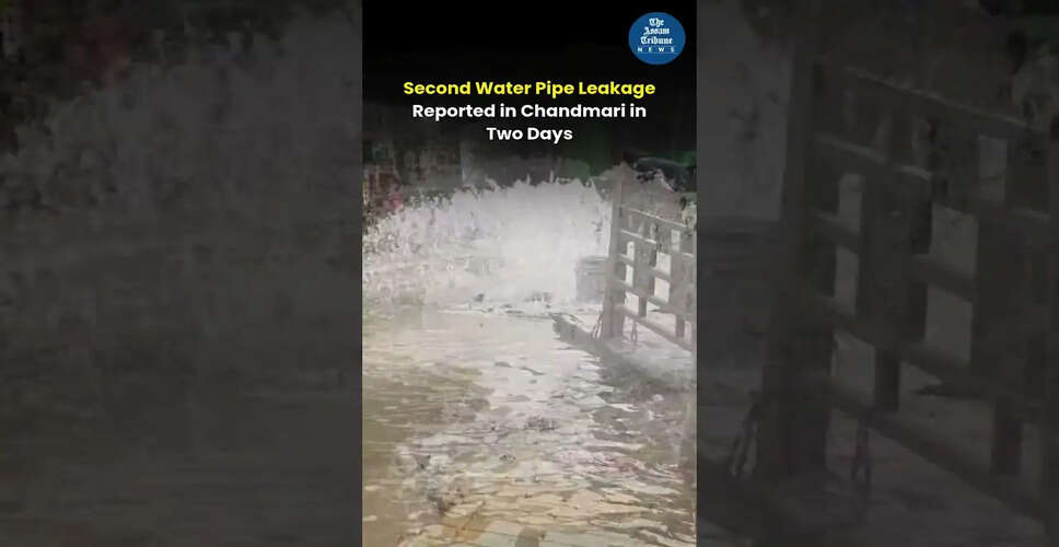 दिलचस्प वीडियो सामग्री