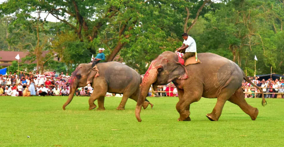 बोको में 114वें सुवारी महोत्सव की धूमधाम