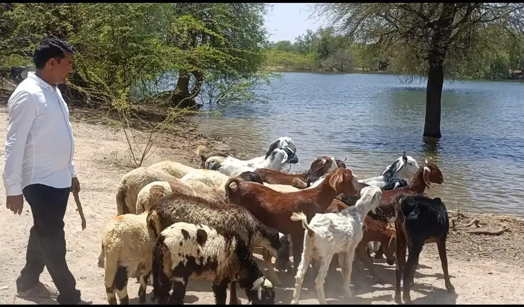 राजूराम मीणा: बिना कोचिंग के आरएएस में सफलता की कहानी