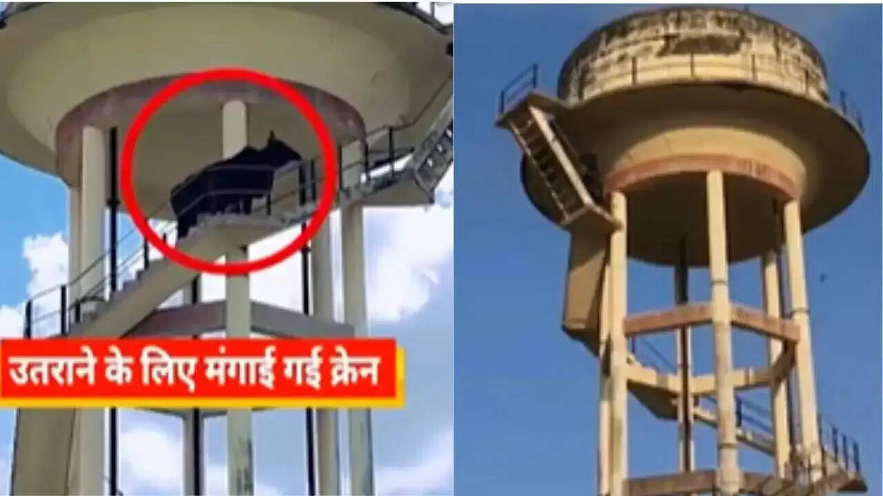 राजस्थान में सांड का 60 फीट ऊंची टंकी पर चढ़ना, वीडियो हुआ वायरल
