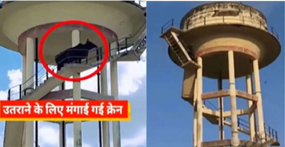 राजस्थान में सांड का 60 फीट ऊंची टंकी पर चढ़ना, वीडियो हुआ वायरल