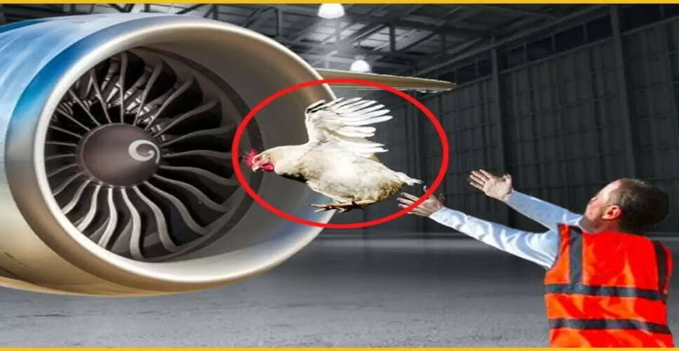 क्या हवाई जहाज के इंजन में मुर्गा डालना सच है?