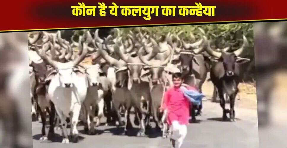 गुजरात के छोटे गांव का बच्चा किरण, गायों का सच्चा मित्र