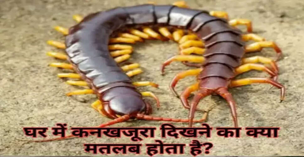 घर में कनखजूरा दिखने के संकेत और उनका महत्व