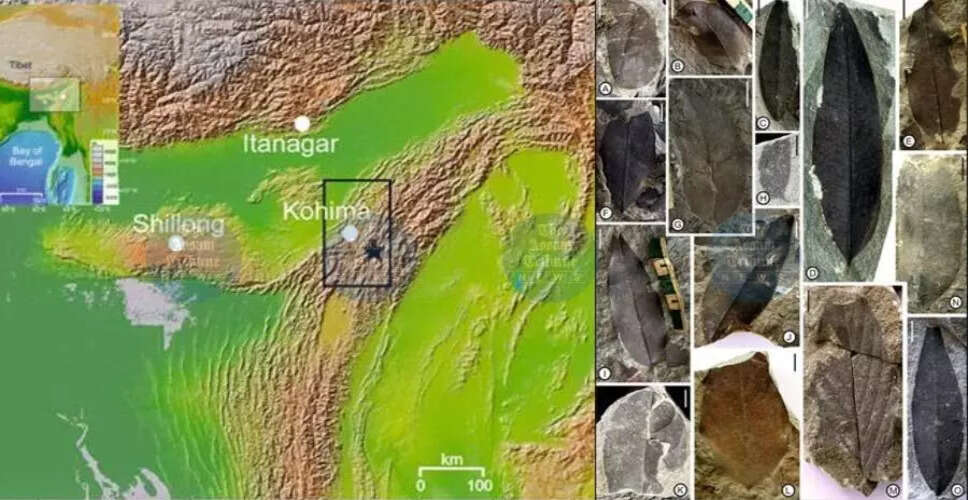 भारतीय वैज्ञानिकों ने अंटार्कटिका की बर्फ और मानसून के विकास के बीच संबंध खोजा