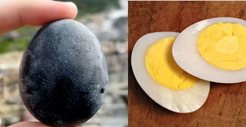 राजस्थान में युवक की ऑर्गेनिक अंडा फार्मिंग से हो रही है अच्छी कमाई