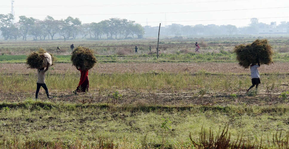 राजस्व महा-अभियान में 44 लाख से अधिक आवेदन, बर्खास्त कर्मियों की बहाली जारी