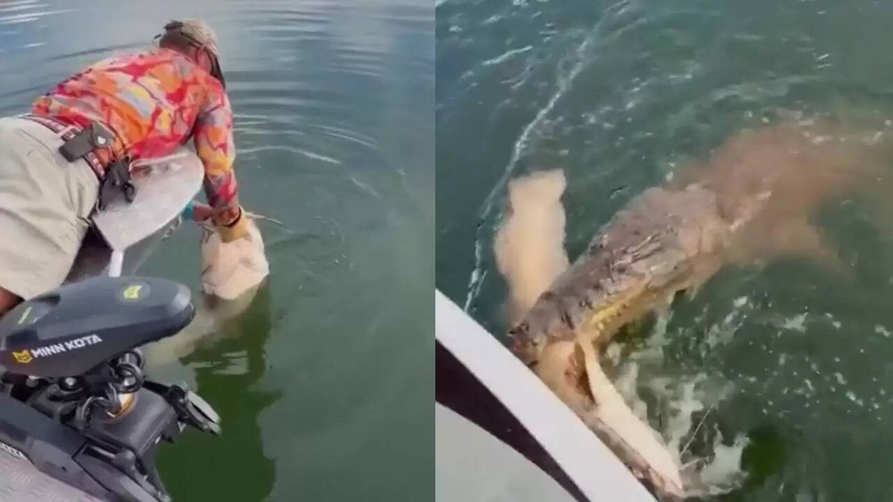 मछली पकड़ते समय मगरमच्छ का खतरनाक हमला, वायरल वीडियो ने मचाई हलचल