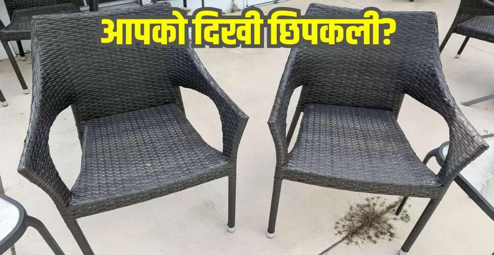 क्या आप छिपकली को ढूंढ सकते हैं? यह ऑप्टिकल भ्रम आपको चौंका देगा!