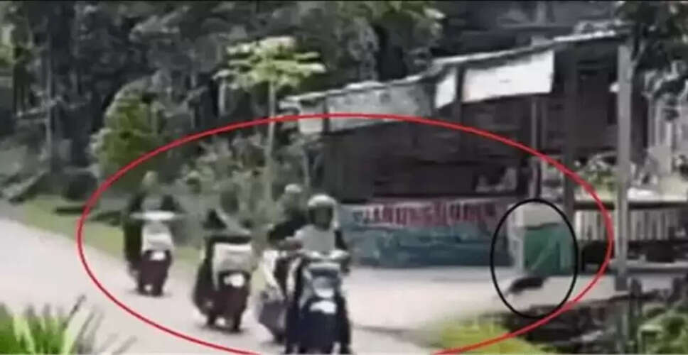 बिल्ली के रास्ता काटने पर हुआ बड़ा हादसा, वायरल वीडियो ने बढ़ाई बहस