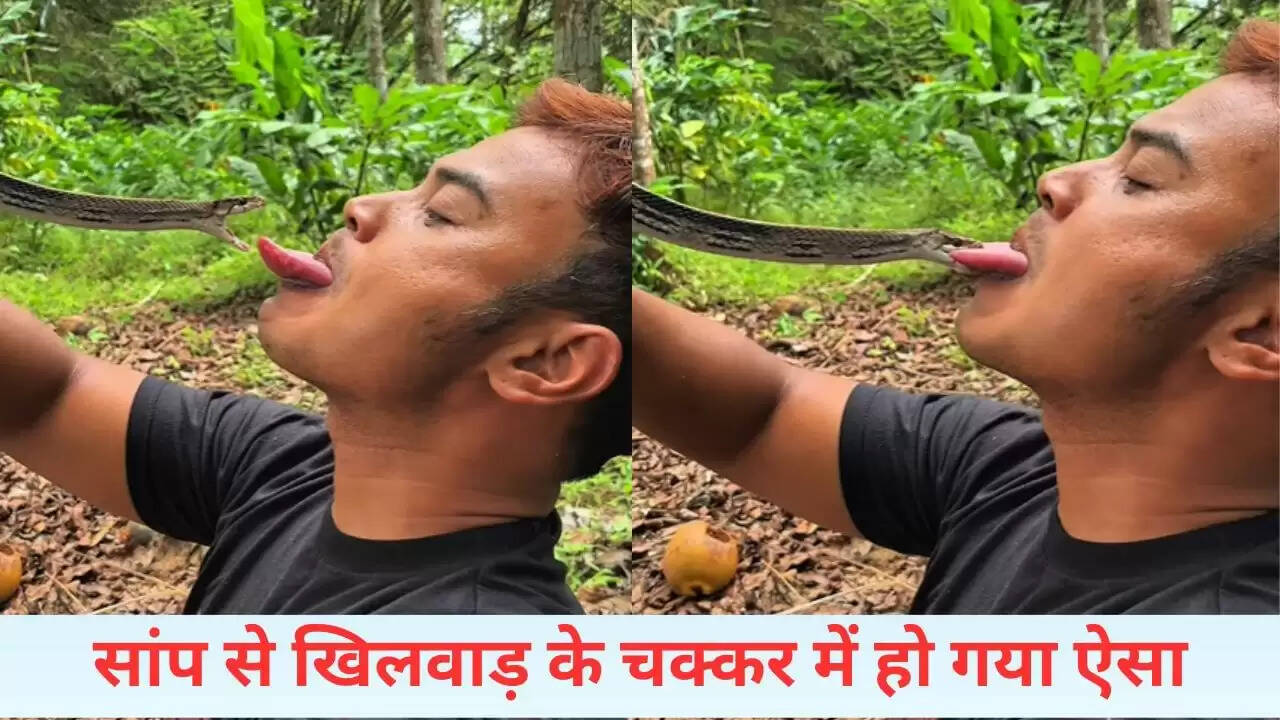 सांप के साथ खिलवाड़: एक खतरनाक वीडियो जो आपको चौंका देगा