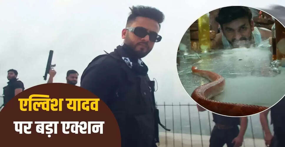 एल्विश यादव और फाजिलपुरिया पर ED का नया एक्शन: जानें पूरा मामला