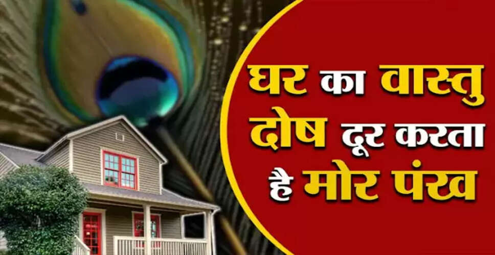 मोरपंख के लाभ: घर में सकारात्मकता और धन की देवी लक्ष्मी को आकर्षित करें