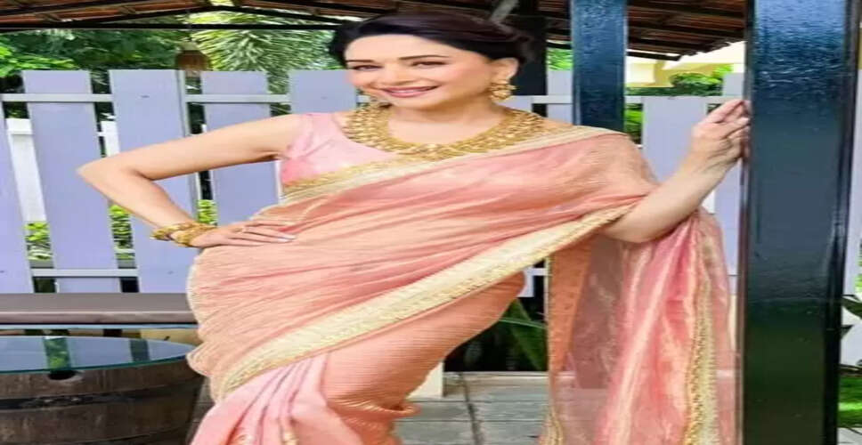 'शेकी-शेकी' पर गुलाबी साड़ी पहन झूम के नाचीं माधुरी दीक्षित, मान लिया- 'रुकना नामुमकिन'