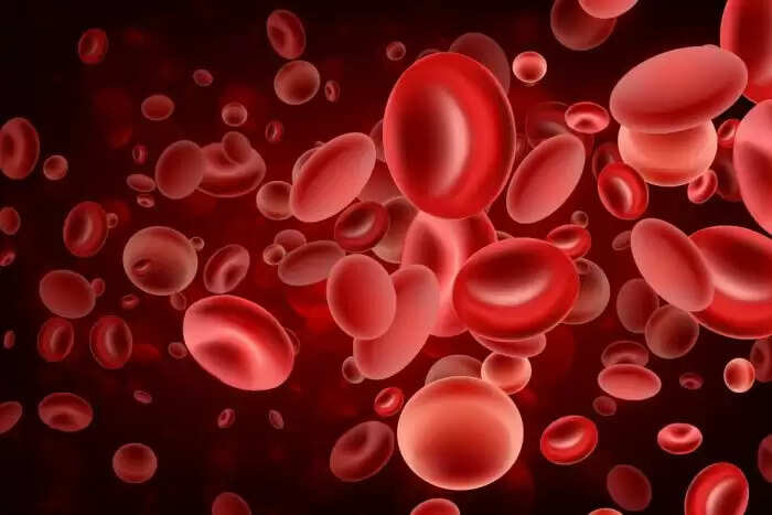 मखाने की खेती और स्वास्थ्य लाभ: जानें कैसे करें उपयोग
