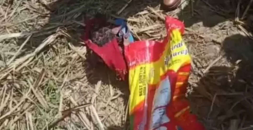 लखीमपुर खीरी में मानव कंकाल मिलने से मचा हड़कंप