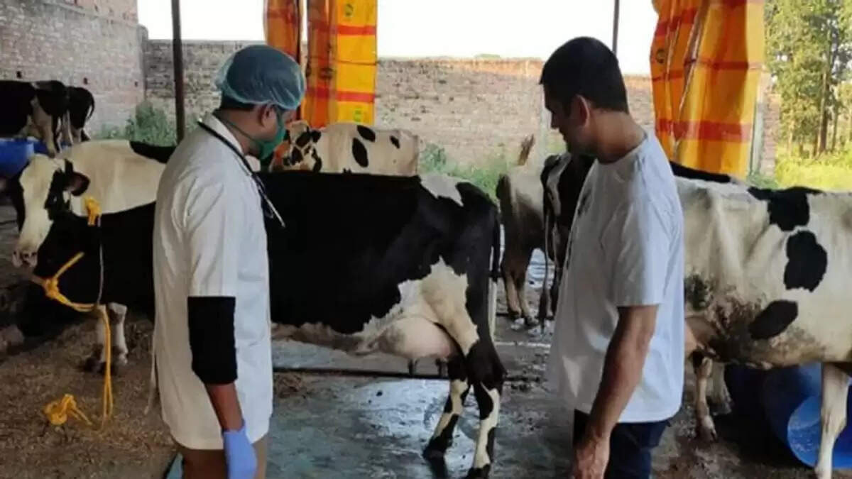 महेंद्र सिंह धोनी: क्रिकेट के साथ दूध का कारोबार करने वाला स्टार