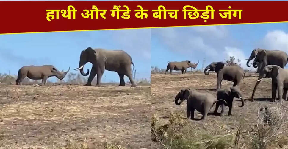 हाथी और गैंडे की अद्भुत भिड़ंत का वायरल वीडियो