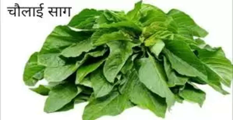 चौलाई के अद्भुत स्वास्थ्य लाभ: जानें कैसे करें इसका उपयोग