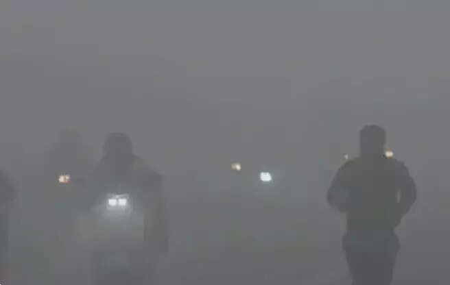 मध्य प्रदेश में शीतलहर और कोहरे का असर, तापमान में गिरावट