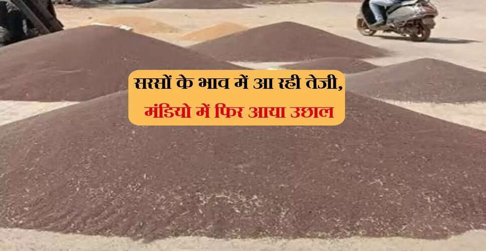 सरसों के भाव में तेजी: मंडियों में बढ़ते दाम