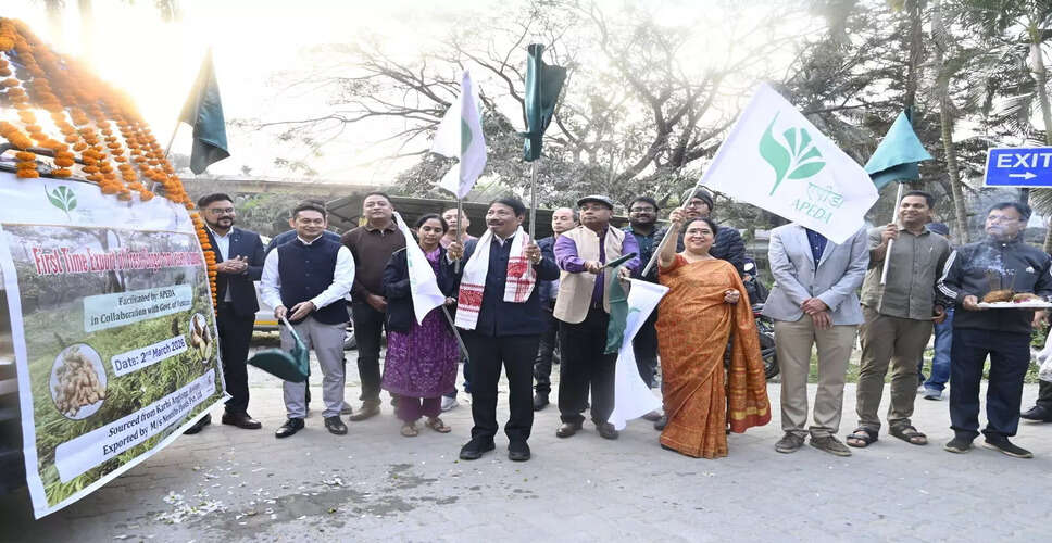 असम ने जीआई-टैगged करबी आंगलोंग अदरक का पहला निर्यात किया