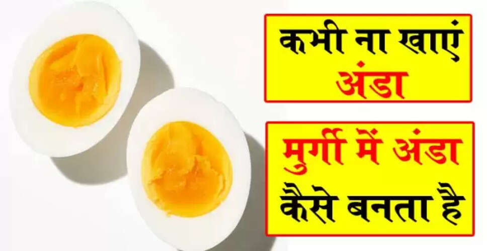 अंडे के सेवन के स्वास्थ्य पर प्रभाव: एक वैज्ञानिक दृष्टिकोण