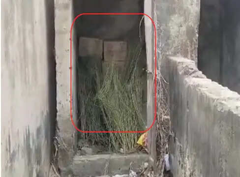 बिहार के सरकारी स्कूल में शराब तस्करी का मामला, बच्चों ने पी शराब