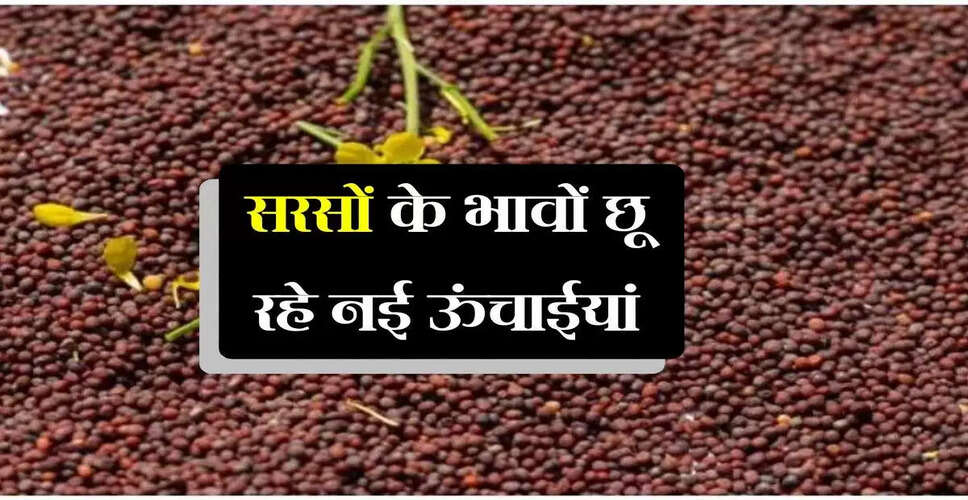 सरसों के भाव में तेजी: जानें मंडियों के ताजा रेट