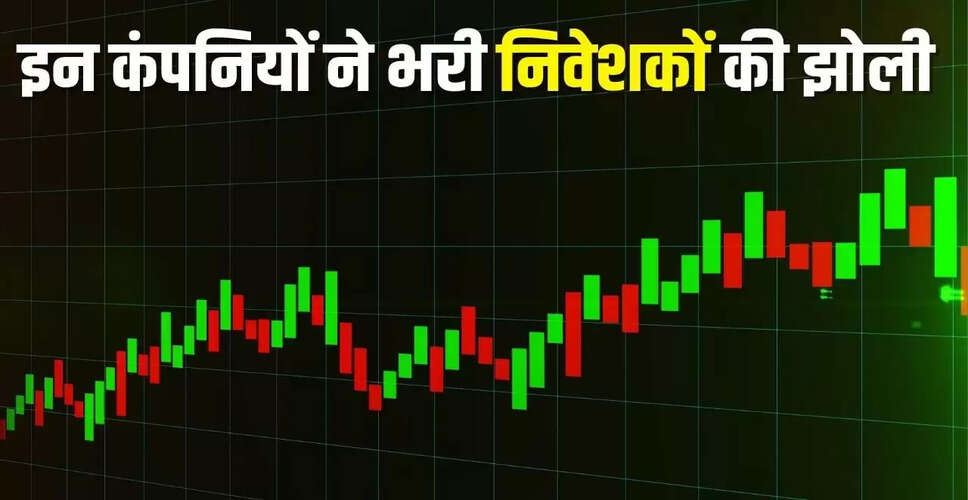 2025 में आईपीओ का प्रदर्शन: निवेशकों के लिए लाभ और हानि