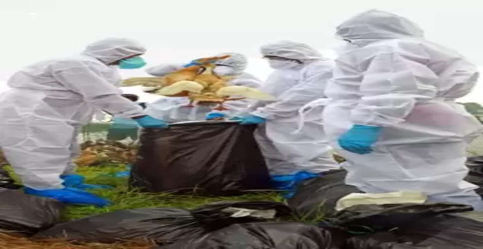 अमेरिका के कैलिफोर्निया में बर्ड फ्लू का प्रकोप, राज्य में दूध उत्पादन में भारी गिरावट