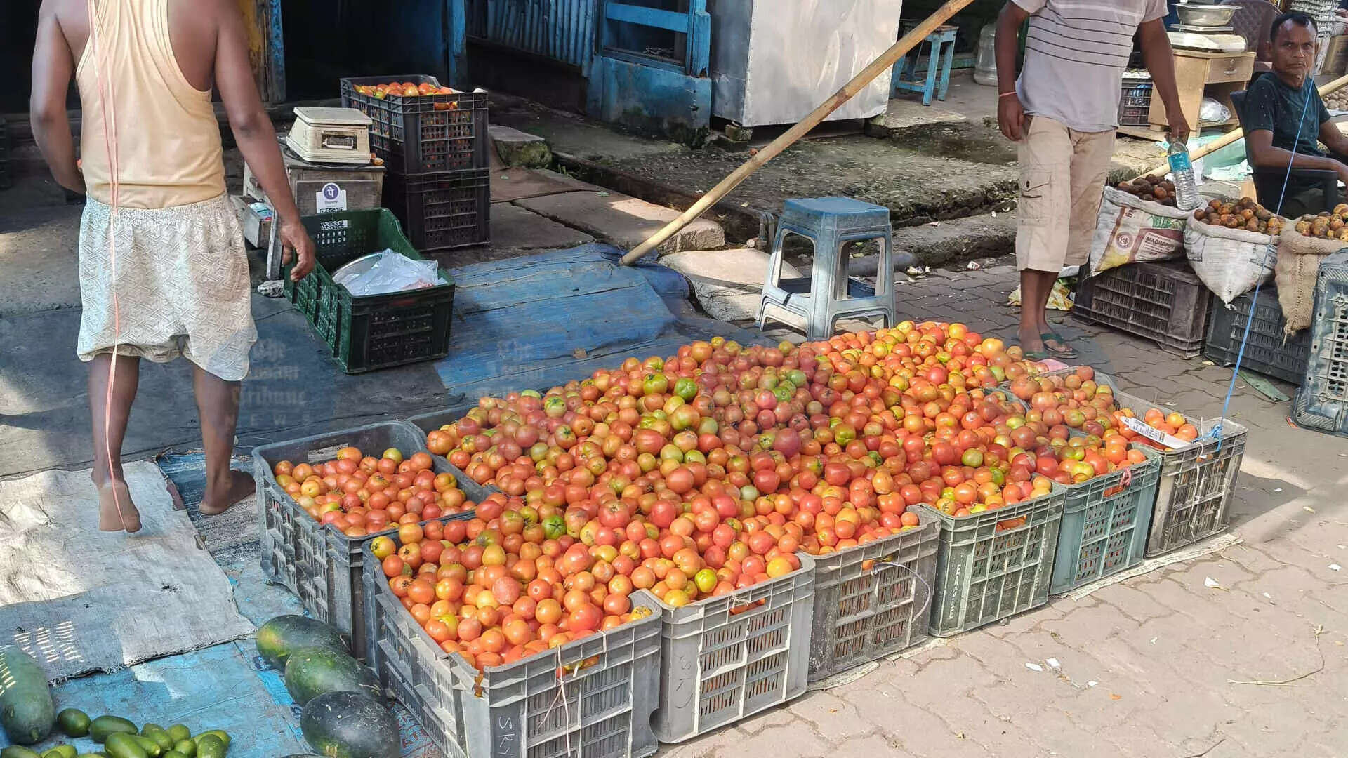 जोरहाट में टमाटर की कीमतों में गिरावट से किसान परेशान