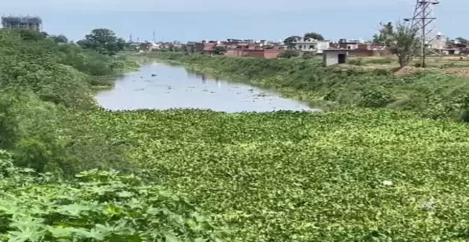पंजाब : पटियाला में घग्गर नदी का जलस्तर बढ़ने से अलर्ट, बाढ़ के खतरे से दहशत