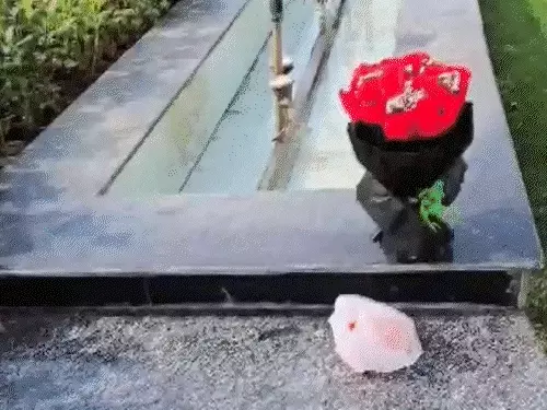 दिल्ली विधानसभा में सुरक्षा चूक: कार ने बैरियर तोड़कर किया प्रवेश