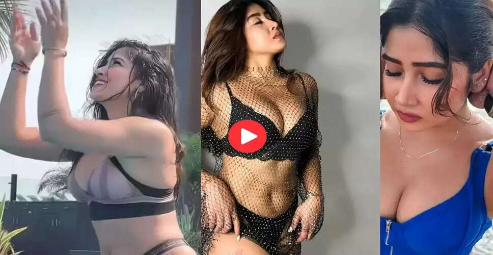 सोफिया अंसारी का नया वीडियो: ट्रोलिंग और प्रशंसा का संगम
