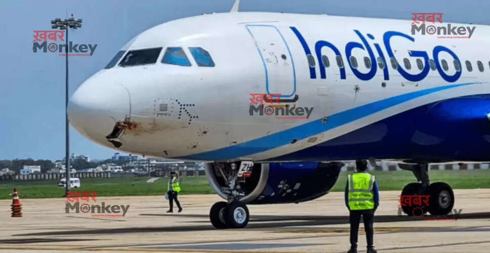 रांची में इंडिगो विमान की इमरजेंसी लैंडिंग, गिद्ध से टकराने की घटना