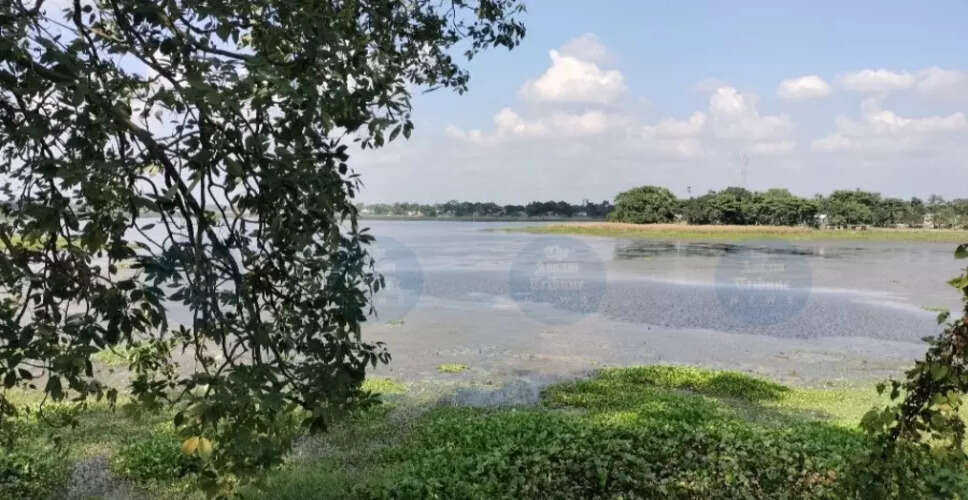 गौरिपुर का ऐतिहासिक लौकहवा बील: एक सांस्कृतिक धरोहर की कहानी