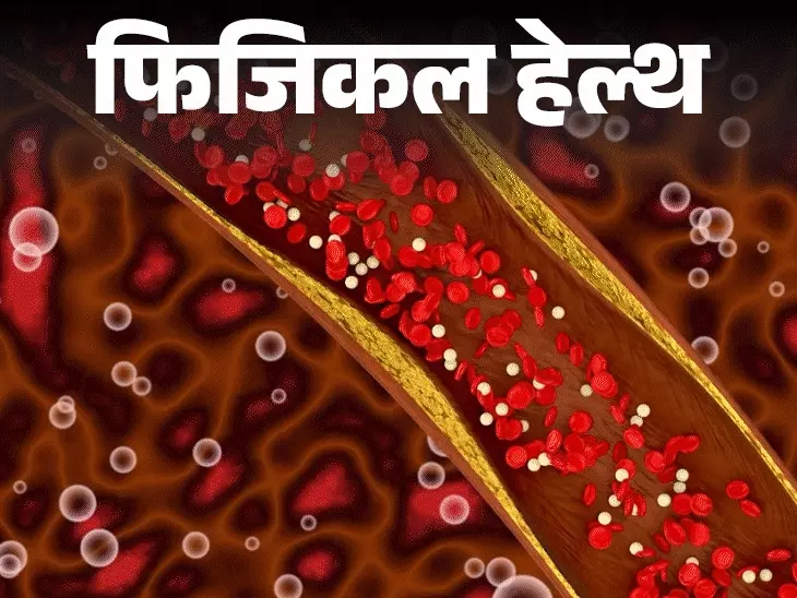 कोलेस्ट्रॉल की नई गाइडलाइन: स्वास्थ्य के लिए जरूरी बदलाव