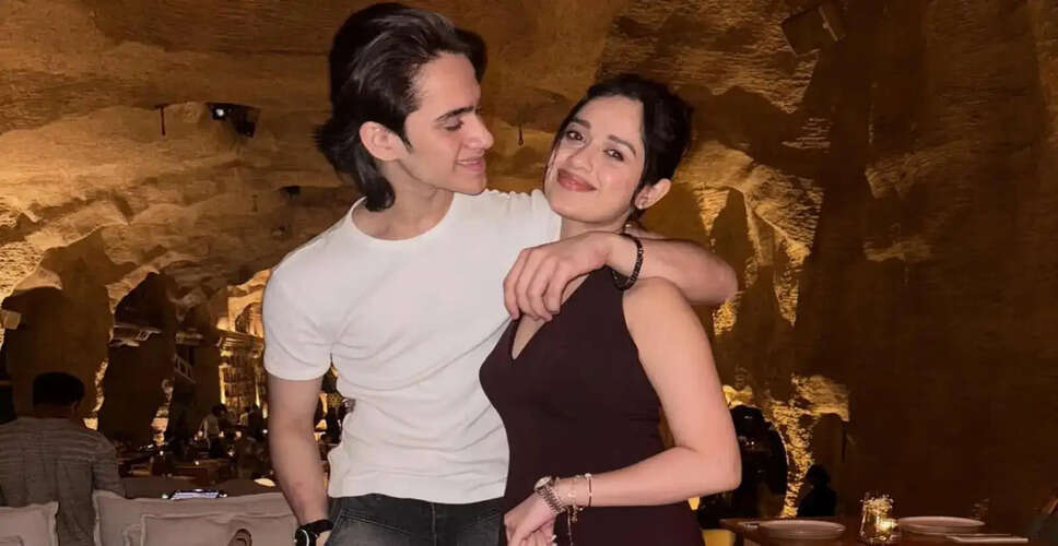 जन्नत जुबैर और उनके भाई पर हमले की घटना, पुलिस कर रही जांच