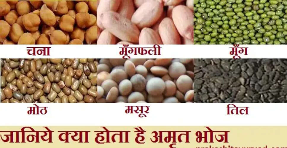 अमृत भोज: स्वास्थ्यवर्धक आहार मिश्रण की विशेषताएँ