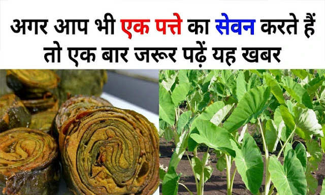 अरबी के पत्तों के अद्भुत स्वास्थ्य लाभ