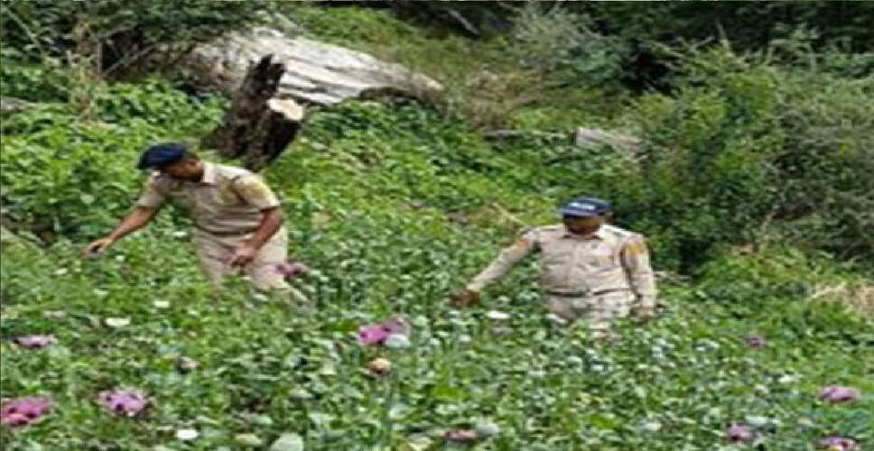 हिमाचल प्रदेश की अदालतों को बम से उड़ाने की मिली धमकी, सुरक्षा बढ़ाई गई