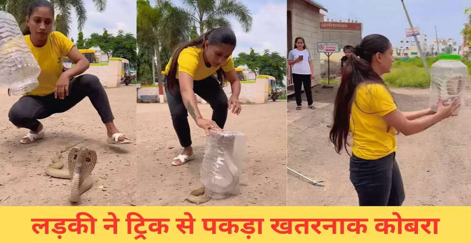 लड़की ने कोबरा को पकड़ने के लिए अपनाई अद्भुत तकनीक, वीडियो हुआ वायरल