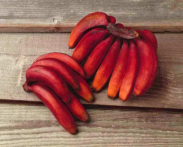 लाल केले के अद्भुत स्वास्थ्य लाभ: जानें इसके फायदे