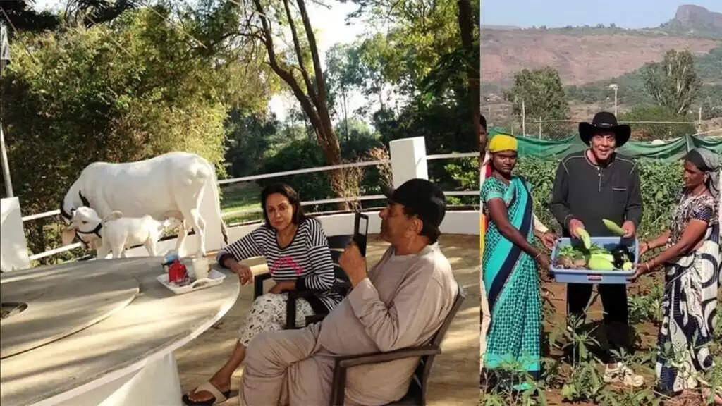 धर्मेंद्र का फार्महाउस: बॉलीवुड के 'ही-मैन' की किसान जिंदगी