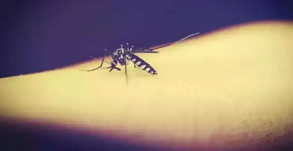 रात में मच्छरों का काटना: जानें कैसे पहुंचते हैं ये अंधेरे में