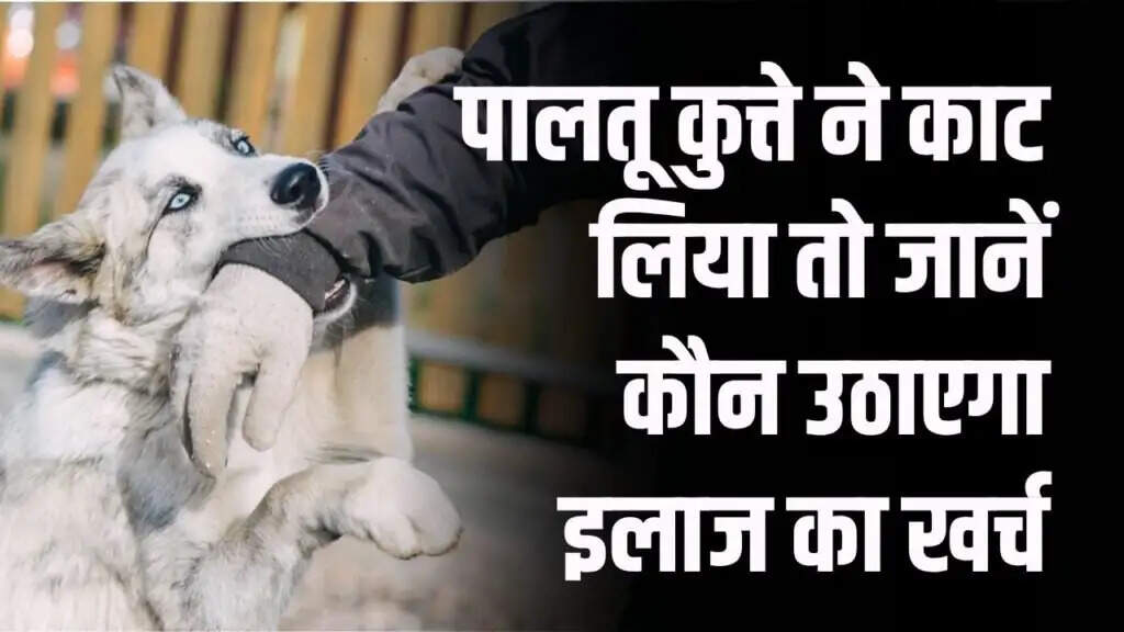 पालतू कुत्ते द्वारा काटने पर कानूनी जिम्मेदारियाँ और नियम