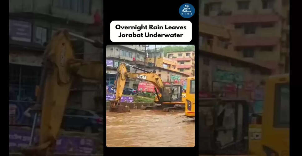 नई वीडियो सामग्री का अनावरण